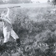 Image for article titled Freakish, Century-Old "Tall Tale Postcards" Were the 'Shops of Their Day